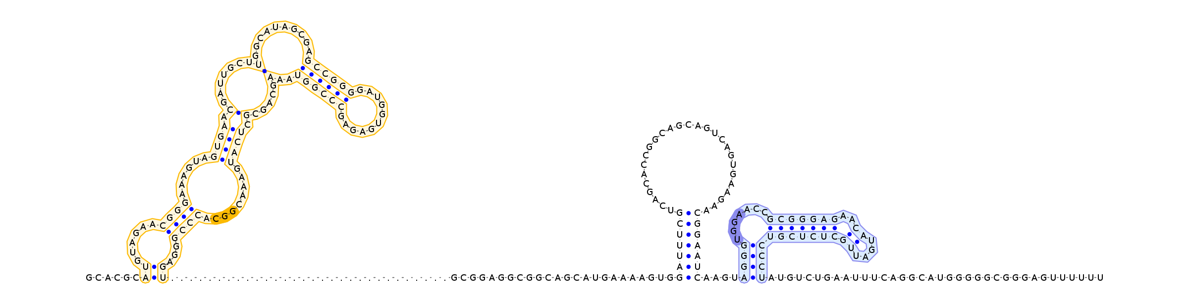 Antiterminator represenation