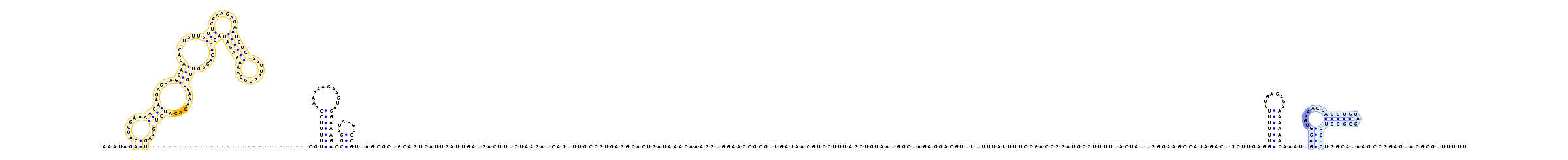 Antiterminator represenation