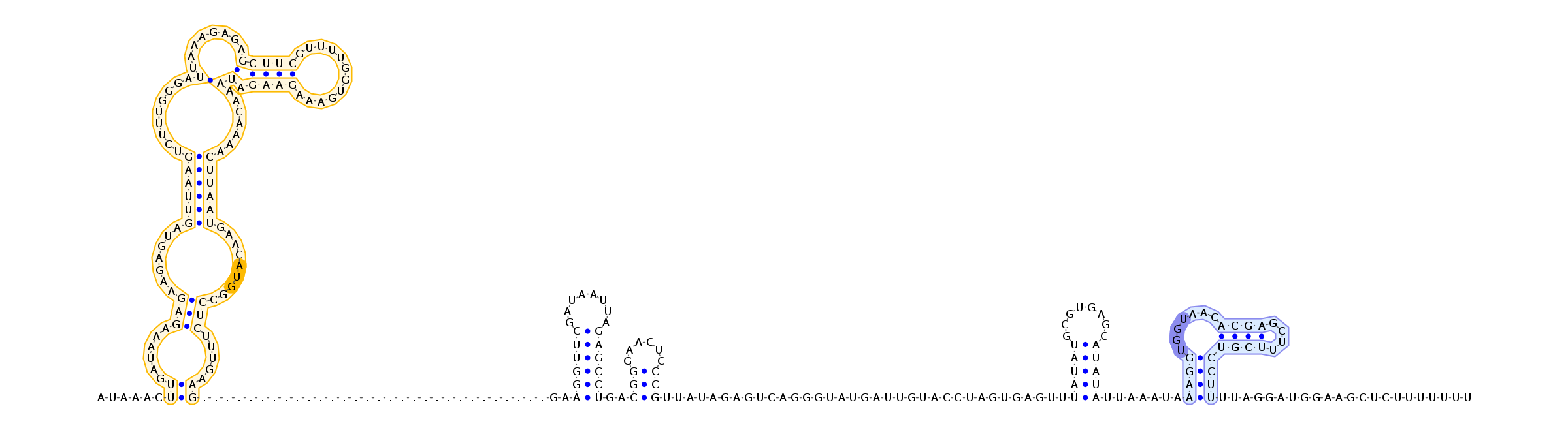 Antiterminator represenation