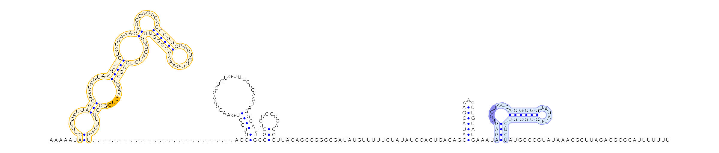Antiterminator represenation