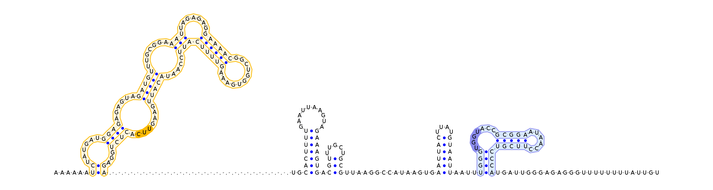 Antiterminator represenation