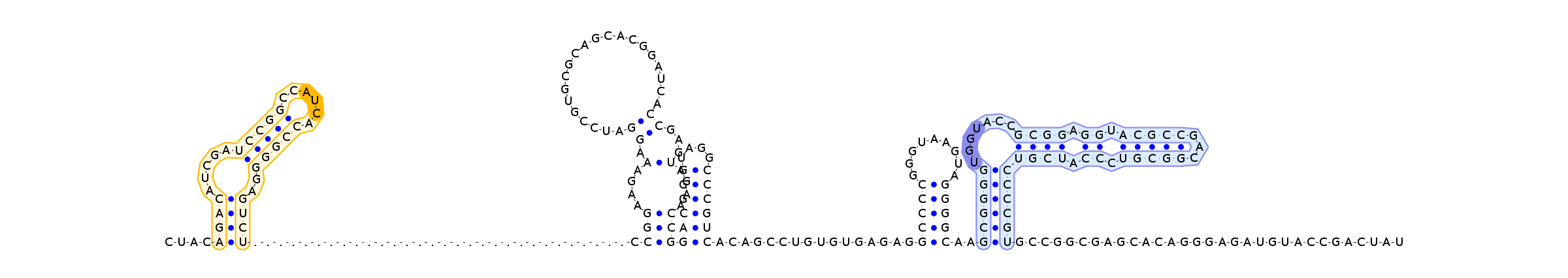 Antiterminator represenation