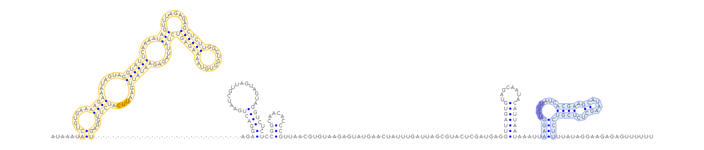 Antiterminator represenation