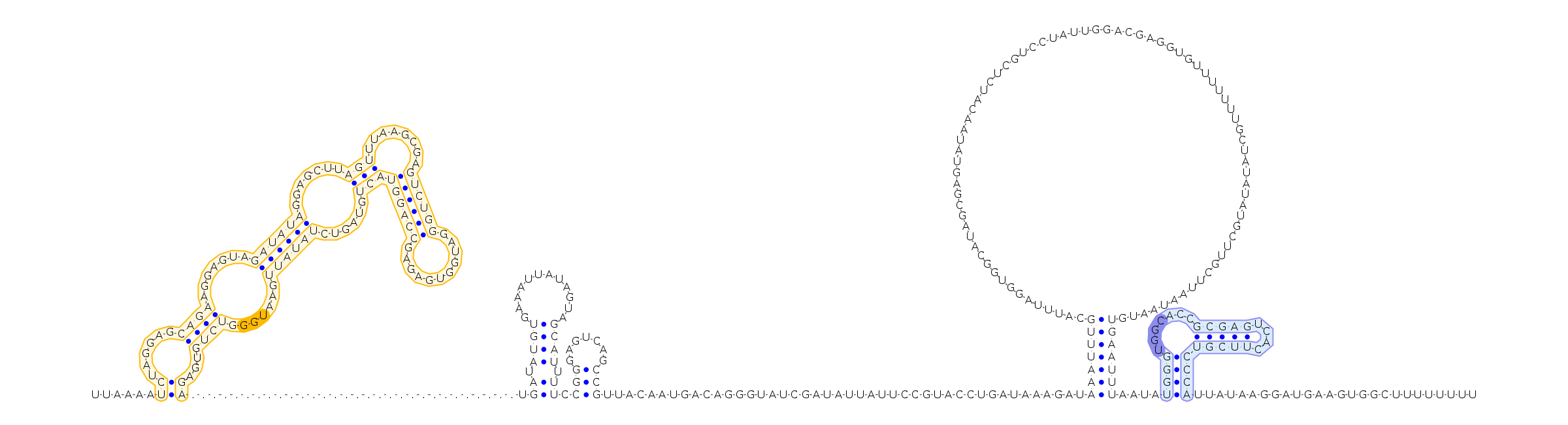 Antiterminator represenation