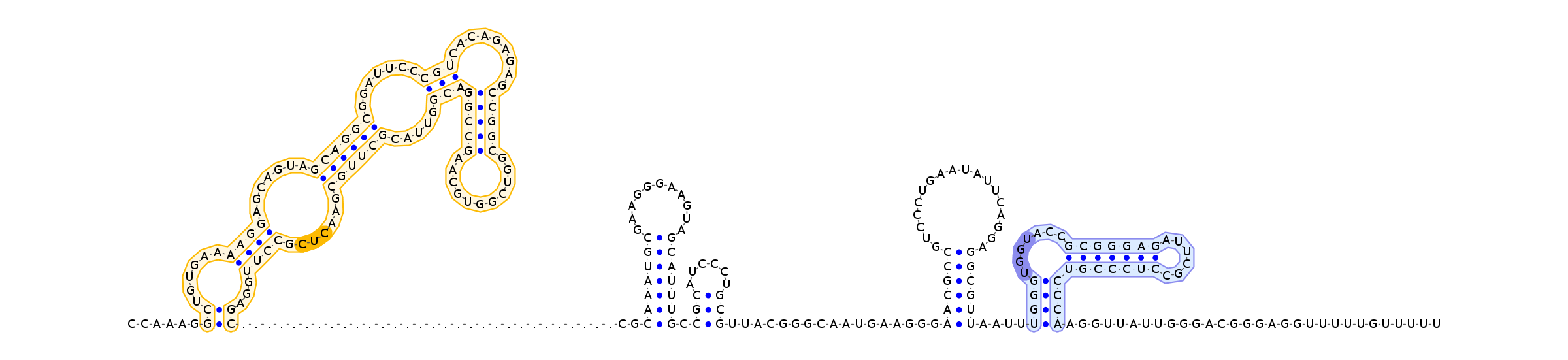 Antiterminator represenation