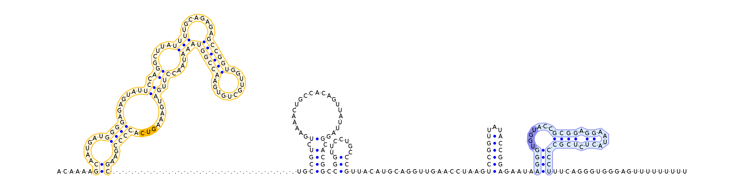 Antiterminator represenation