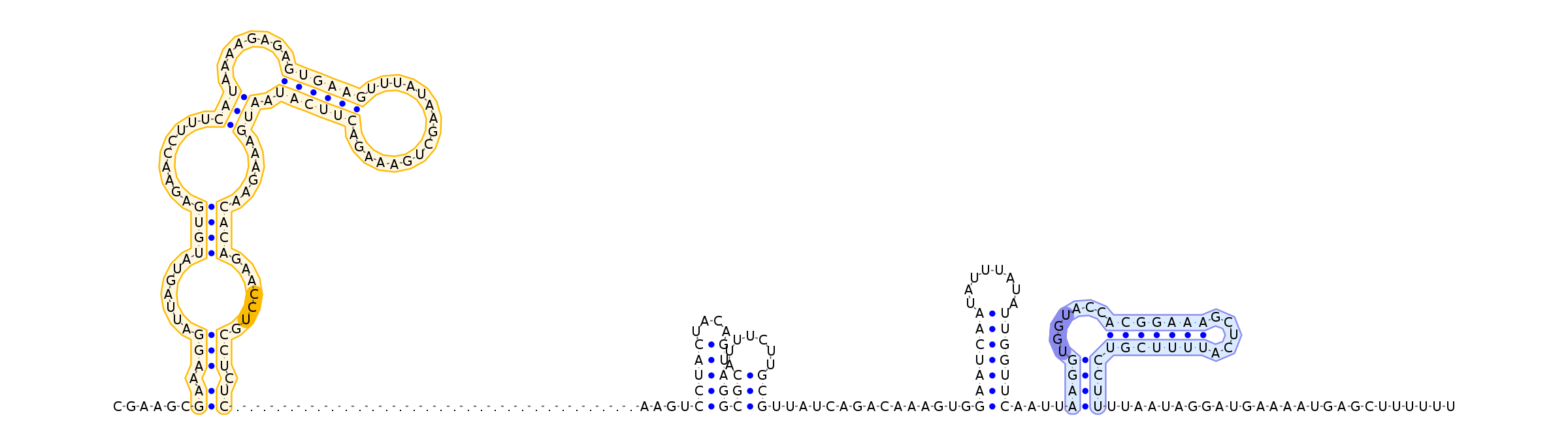 Antiterminator represenation