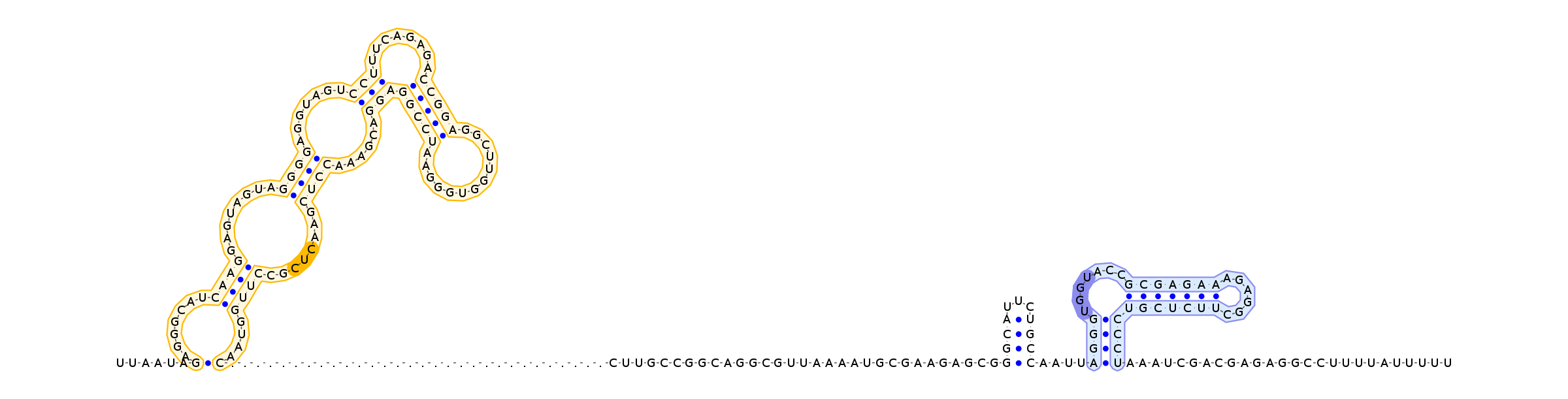 Antiterminator represenation