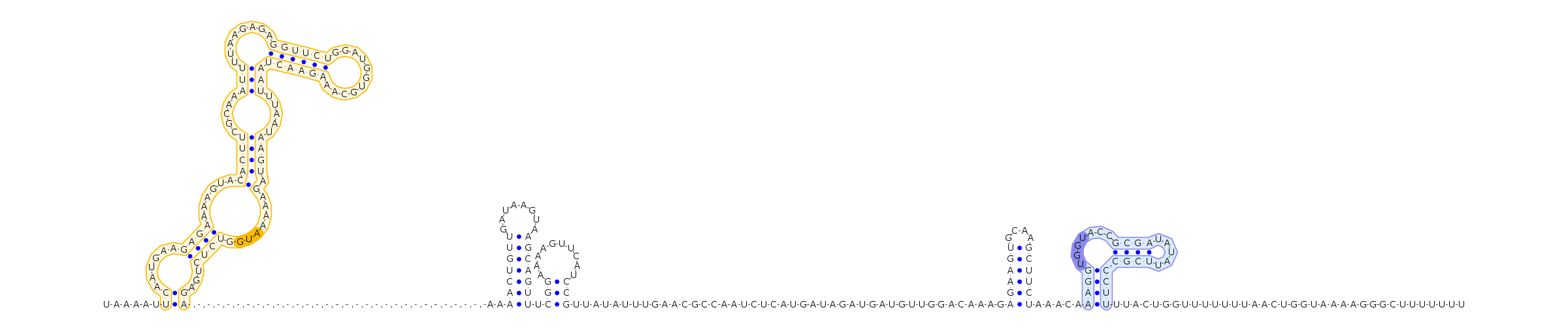 Antiterminator represenation