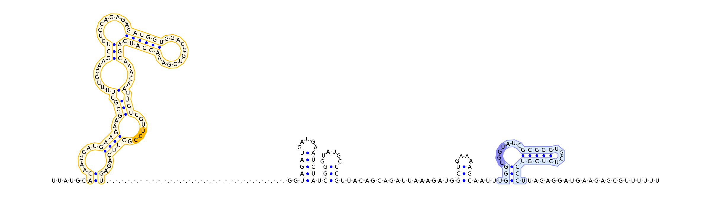 Antiterminator represenation