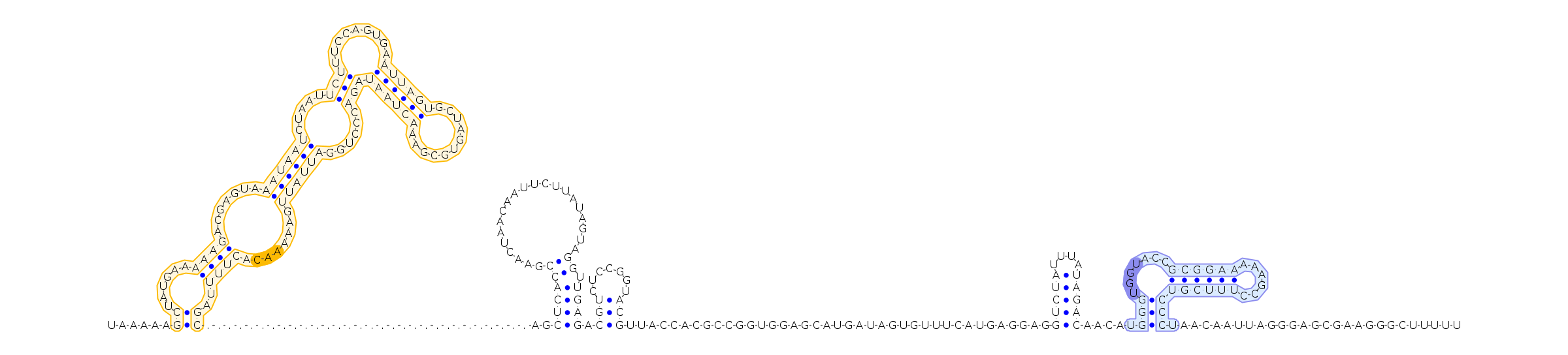 Antiterminator represenation
