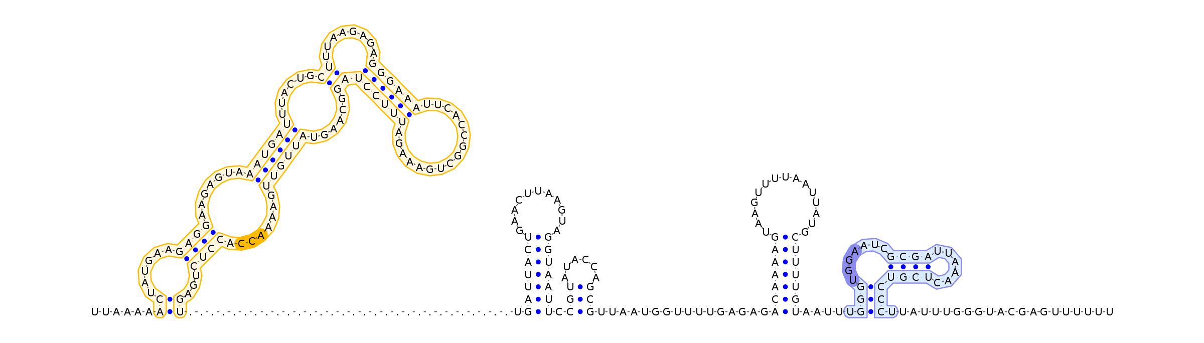 Antiterminator represenation