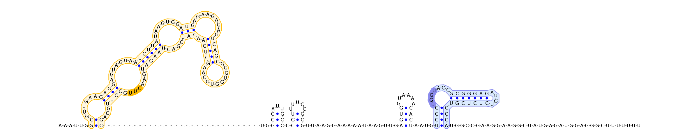 Antiterminator represenation