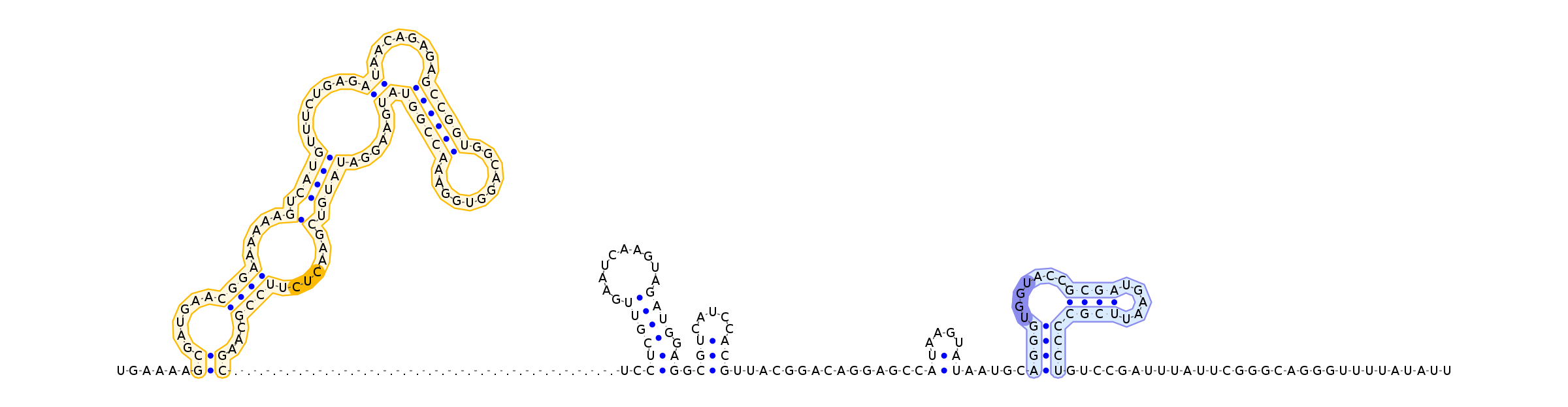 Antiterminator represenation