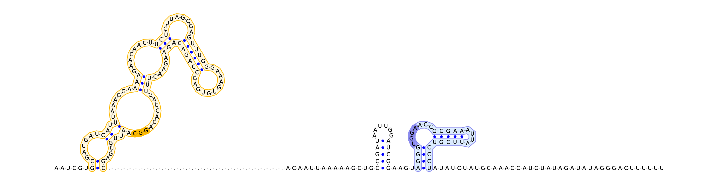 Antiterminator represenation