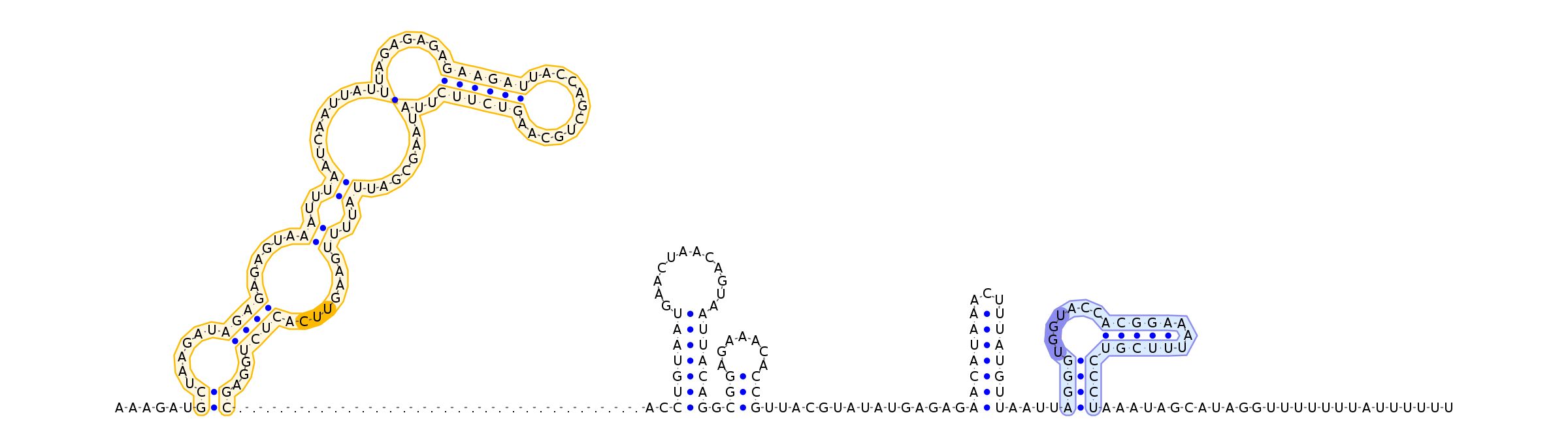 Antiterminator represenation