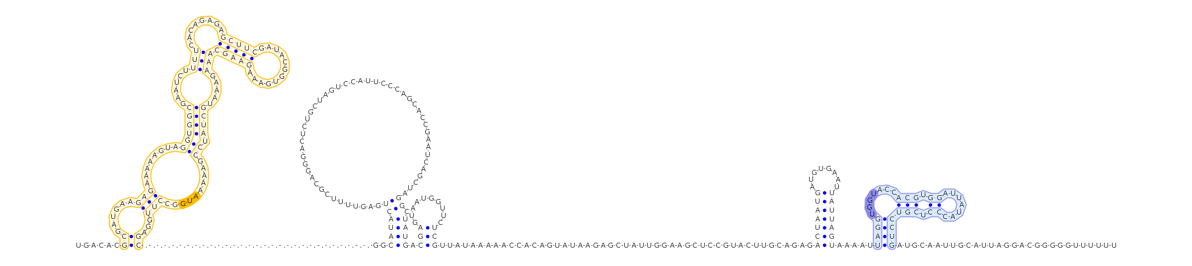 Antiterminator represenation