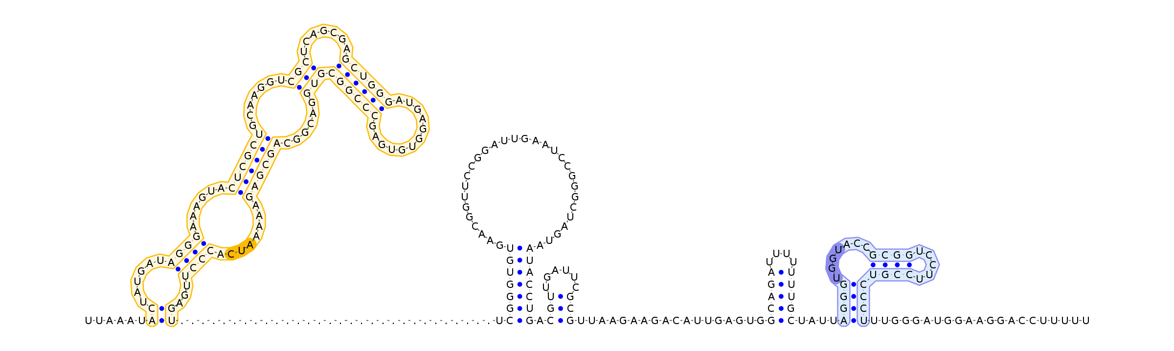 Antiterminator represenation