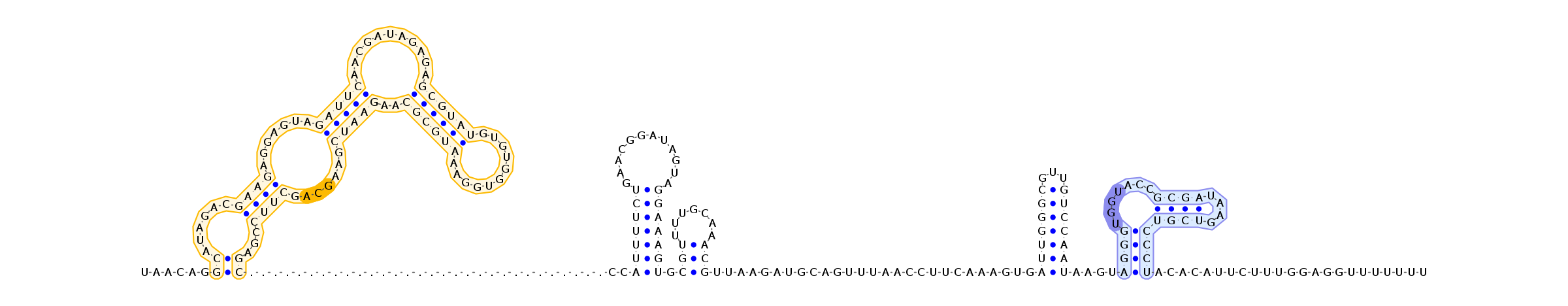 Antiterminator represenation