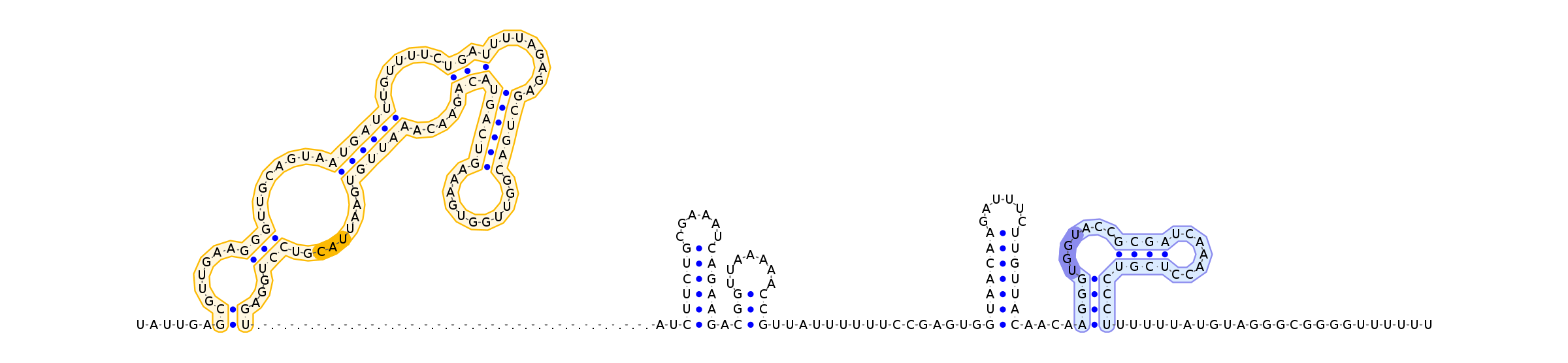 Antiterminator represenation