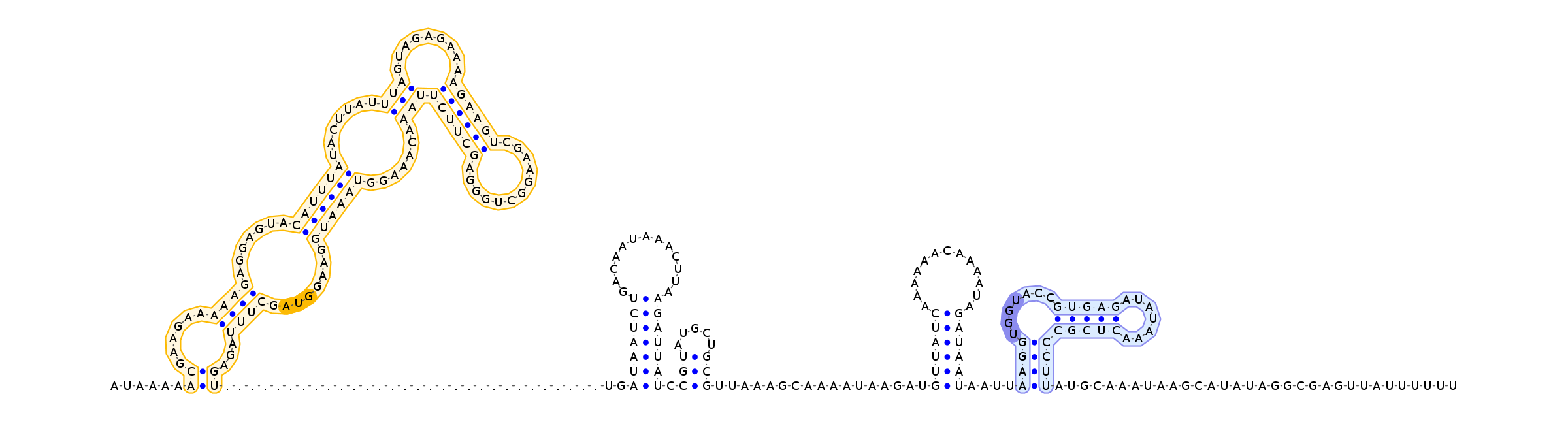 Antiterminator represenation