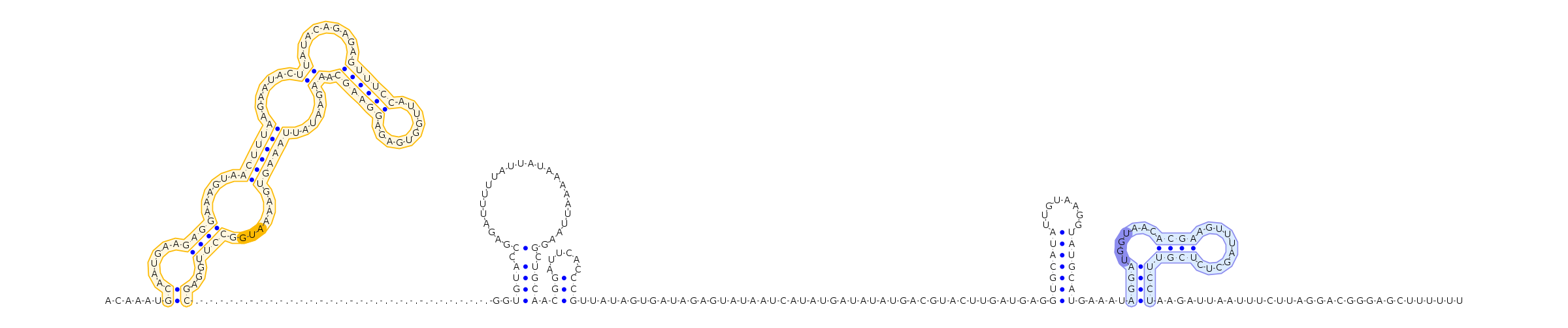 Antiterminator represenation