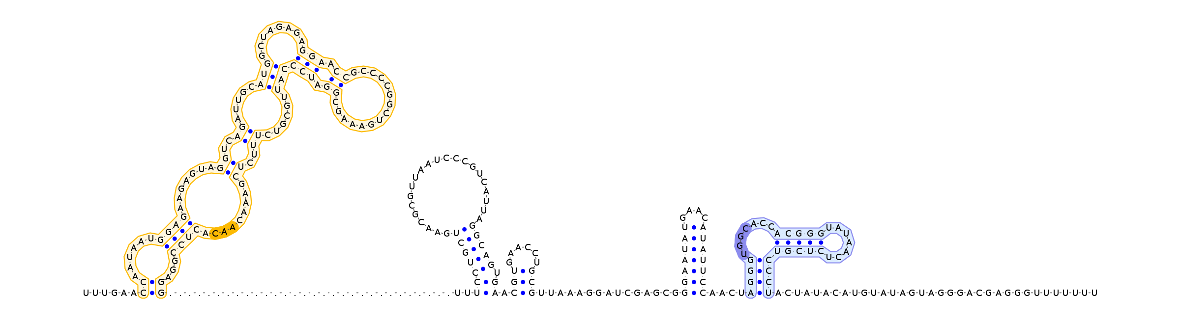 Antiterminator represenation