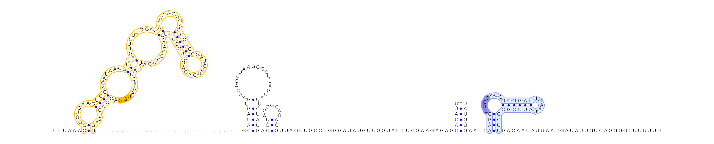 Antiterminator represenation