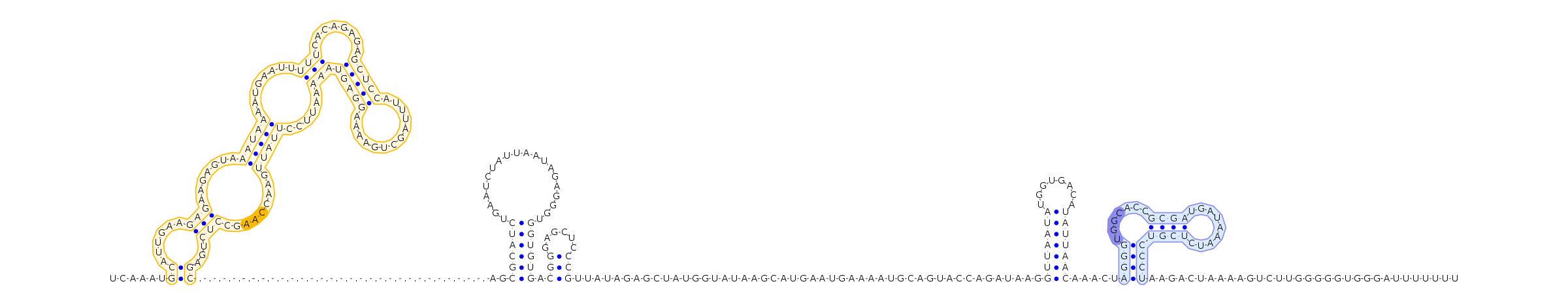 Antiterminator represenation
