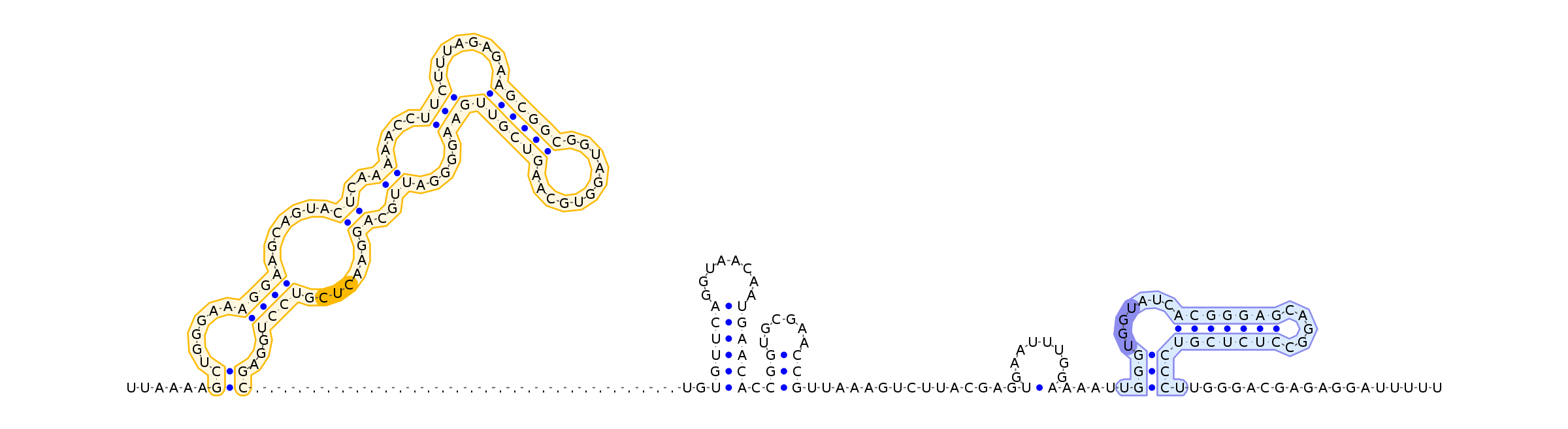 Antiterminator represenation