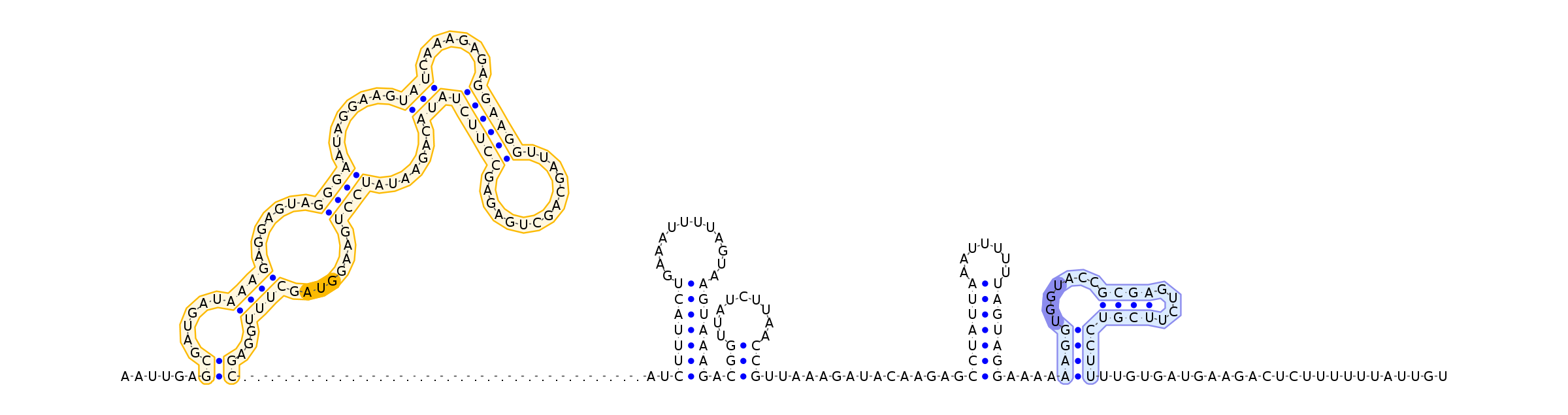 Antiterminator represenation