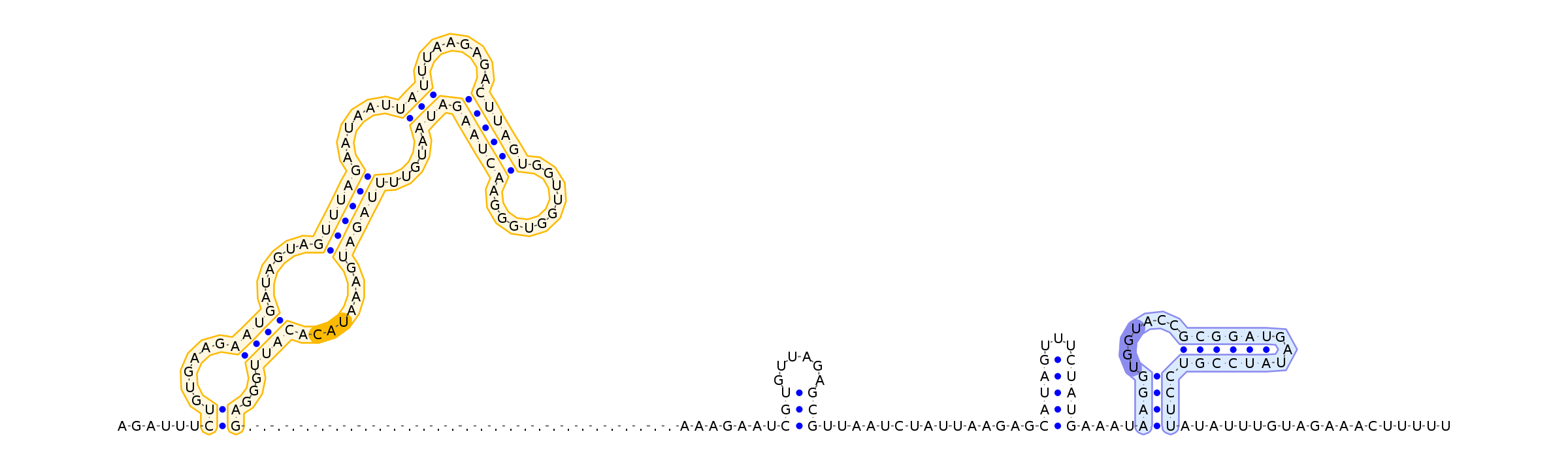 Antiterminator represenation