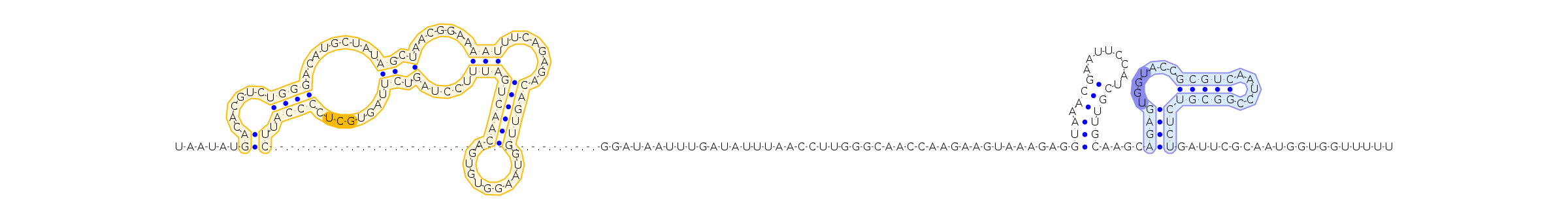 Antiterminator represenation