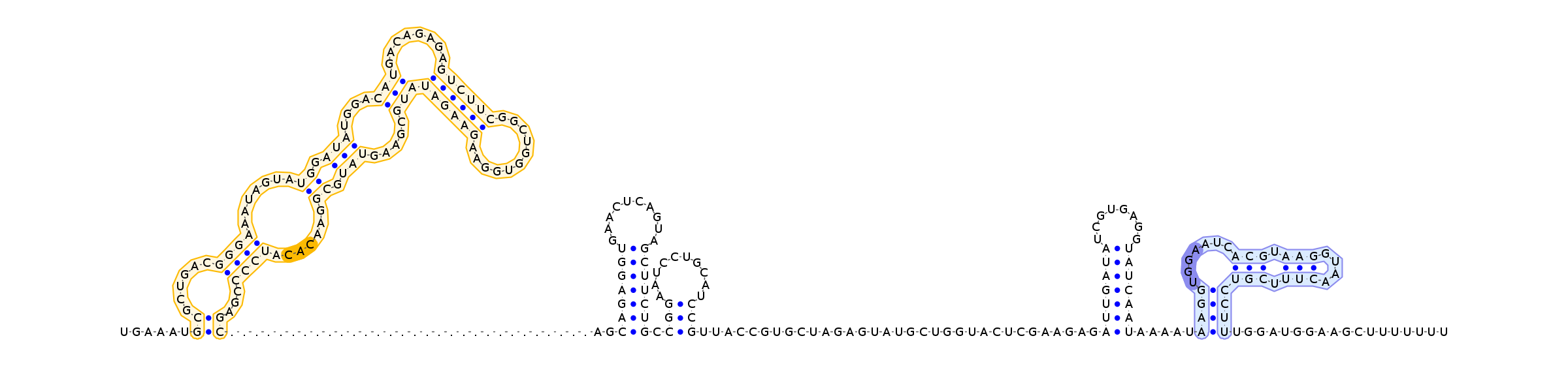 Antiterminator represenation