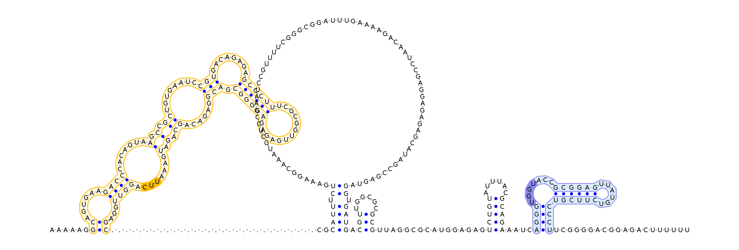Antiterminator represenation