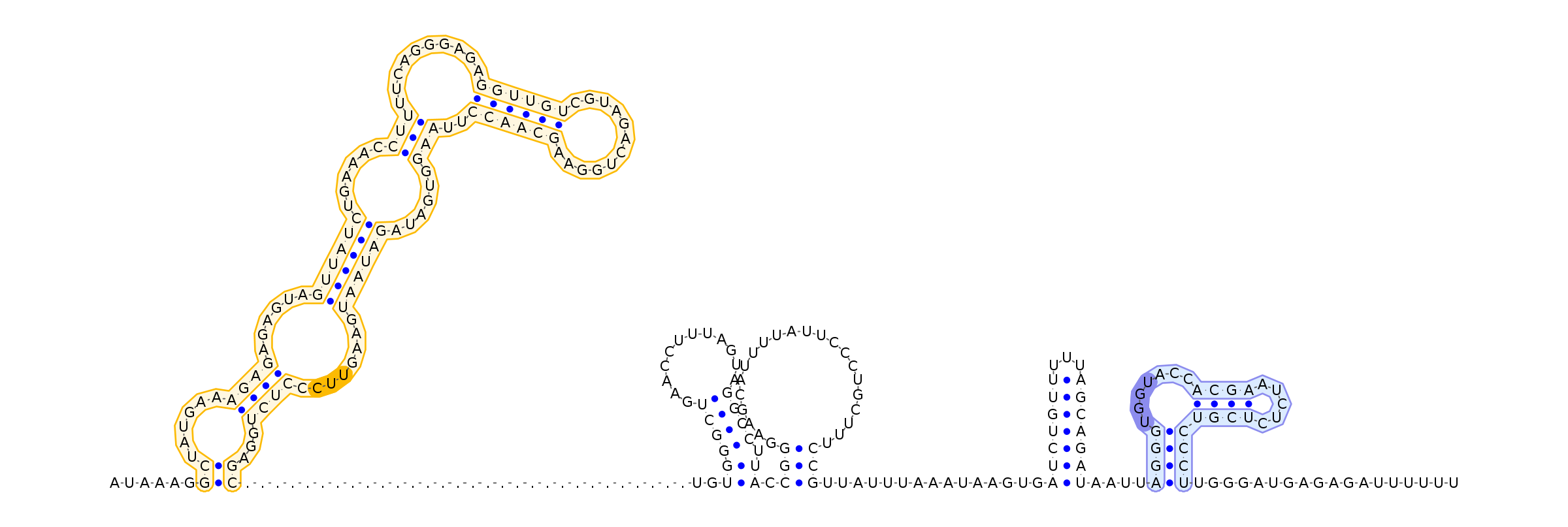 Antiterminator represenation