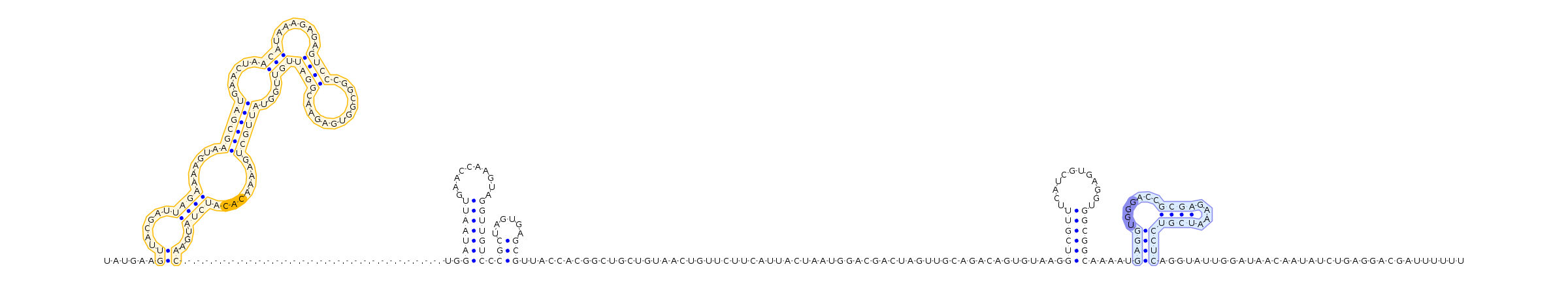 Antiterminator represenation