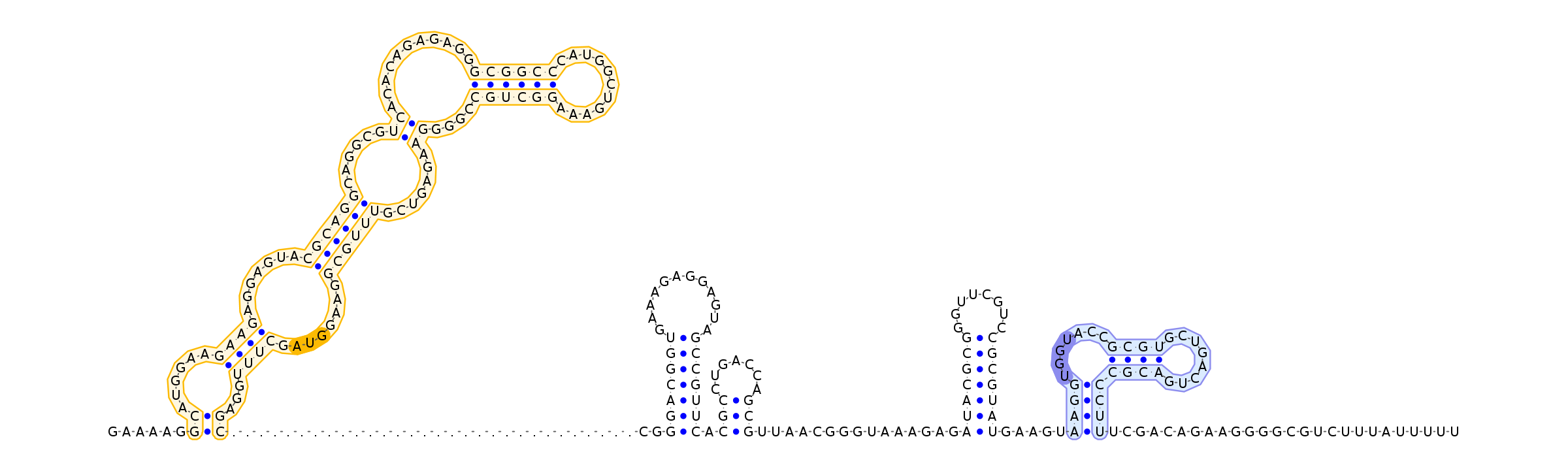 Antiterminator represenation