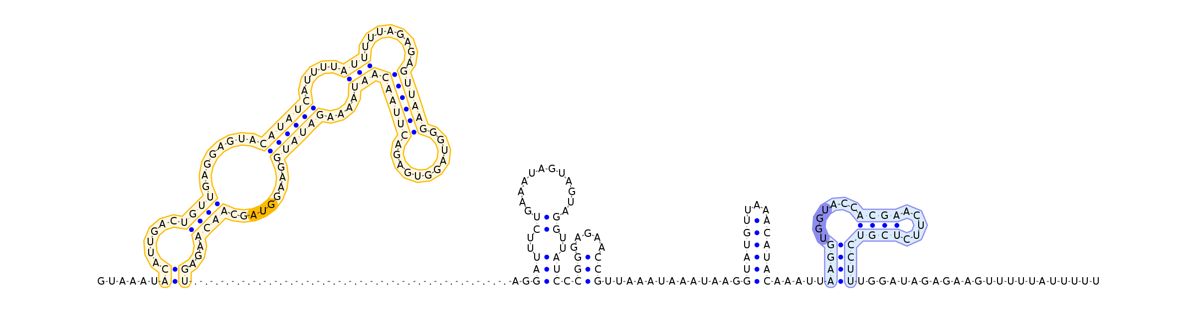 Antiterminator represenation