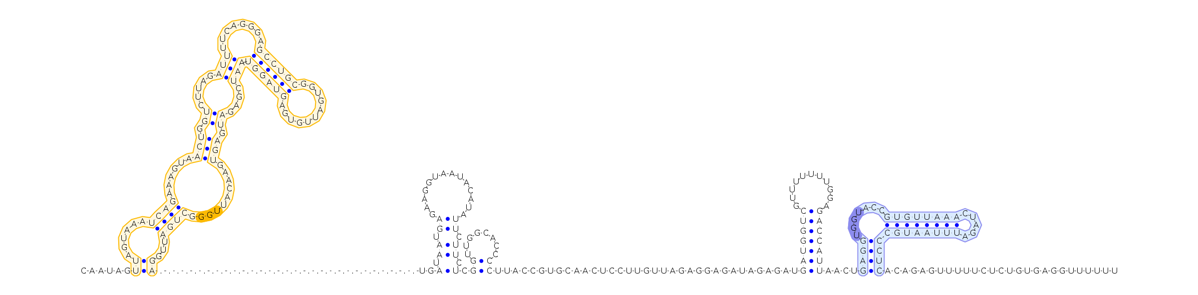 Antiterminator represenation