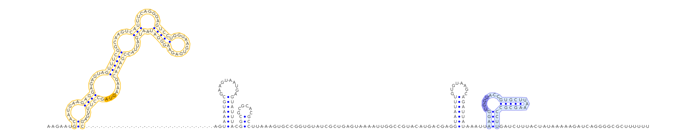 Antiterminator represenation