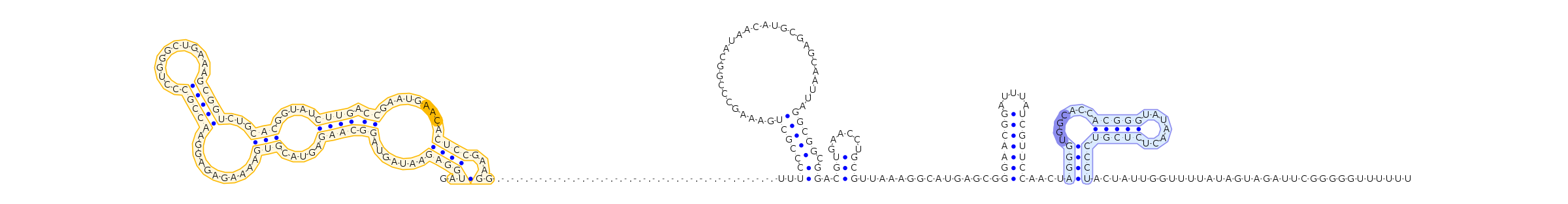 Antiterminator represenation