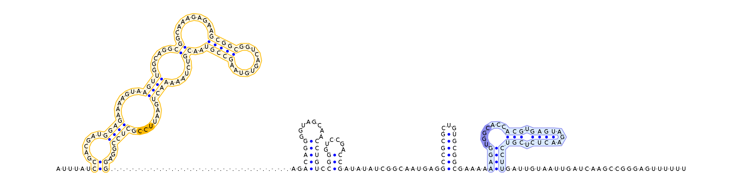 Antiterminator represenation