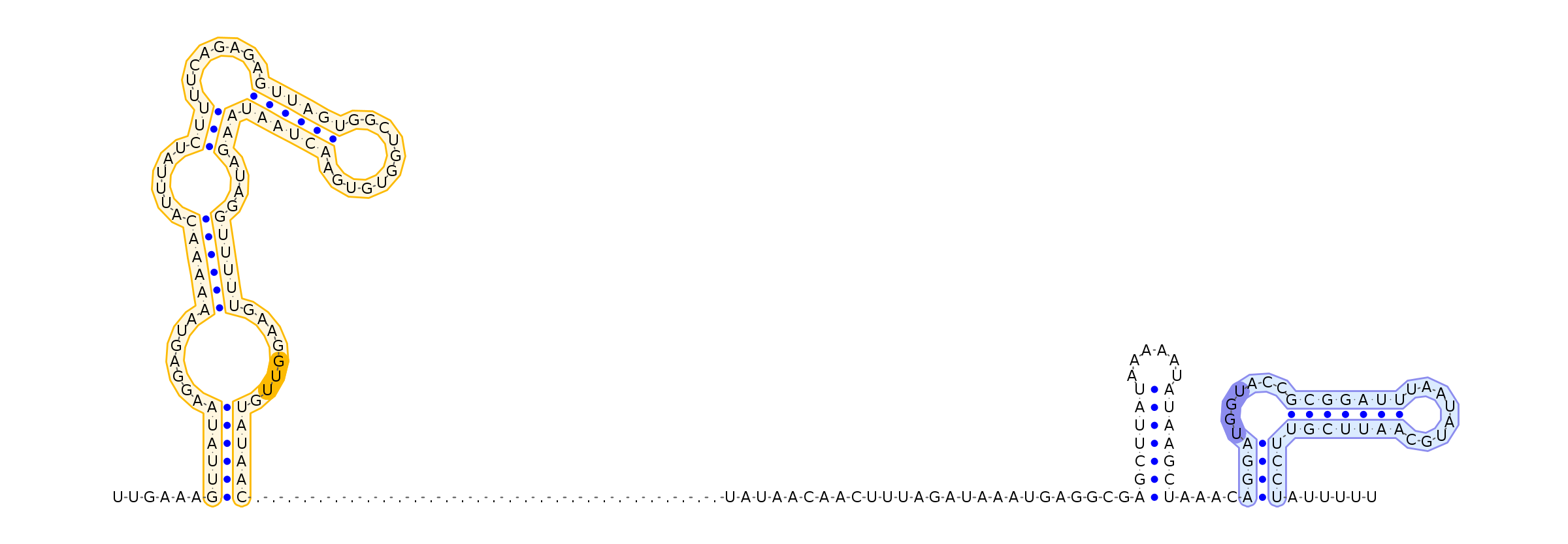 Antiterminator represenation