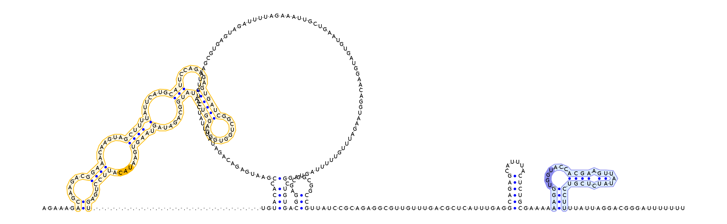 Antiterminator represenation
