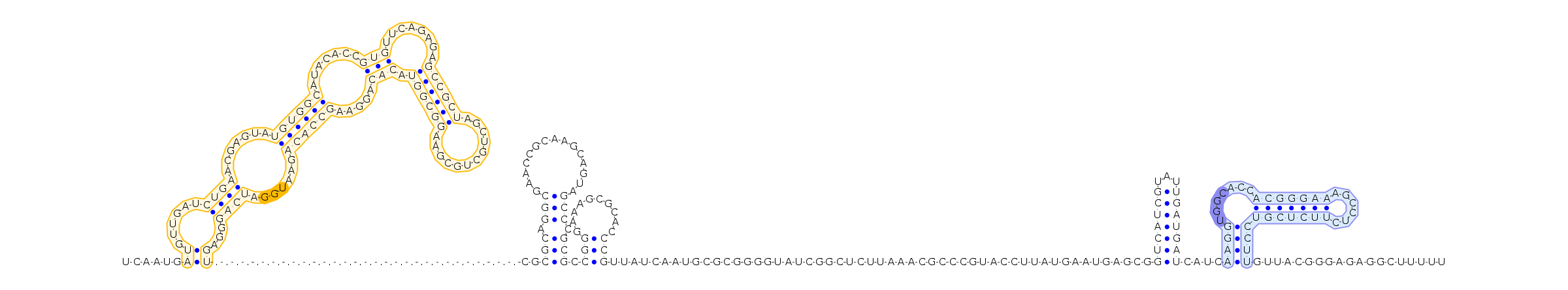 Antiterminator represenation