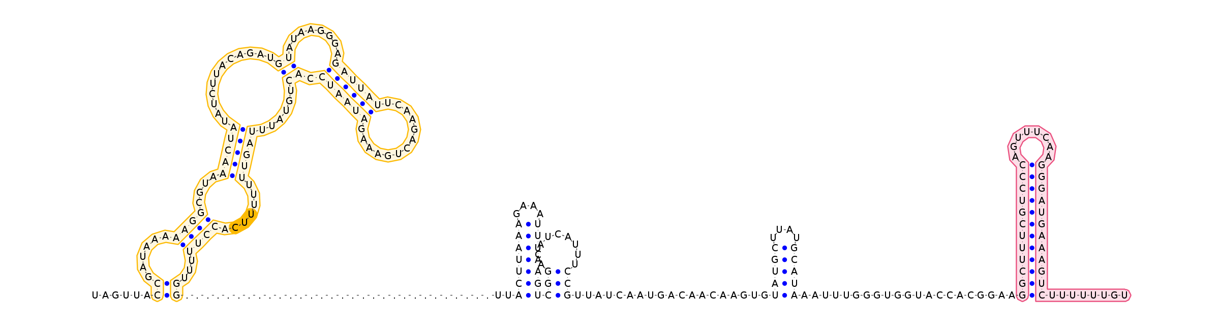 T-box Riboswitch Annotation Database - TBDB - 008OQCJM from ...
