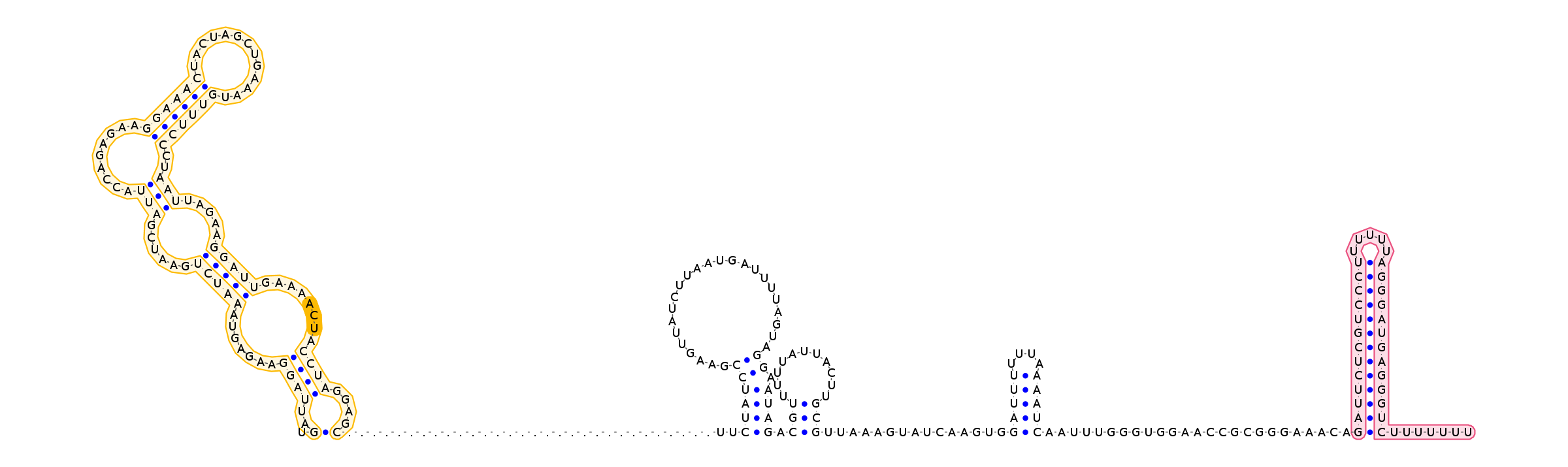 T-box Riboswitch Annotation Database - TBDB - 01QFGNUC from ...
